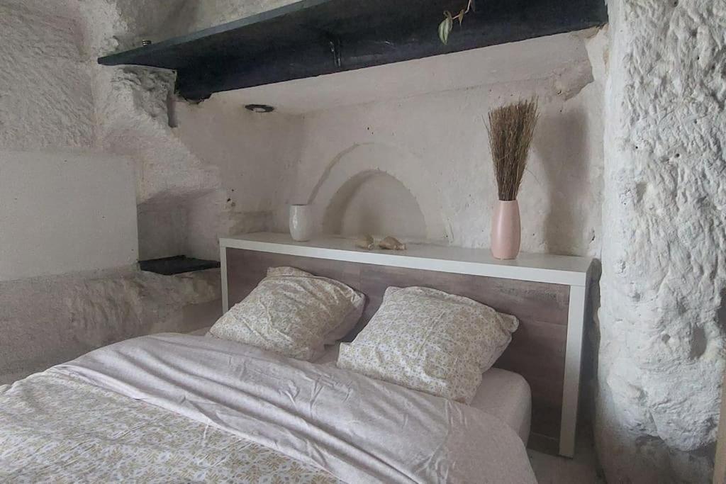 Troglo Entre Caves Et Chateaux Montlouis-sur-Loire Exterior foto